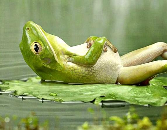 deep zen relax